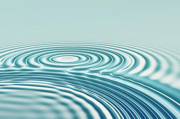 BetBeard Casino Assistance